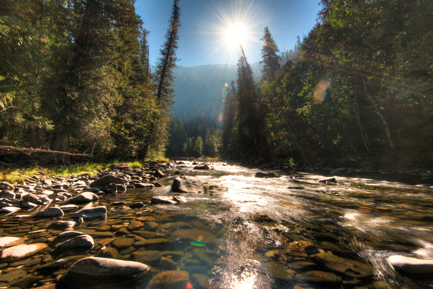 Little North Fork