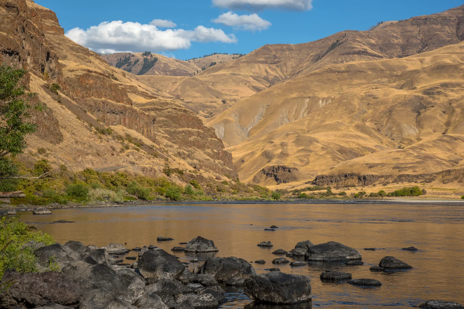 Snake River #2