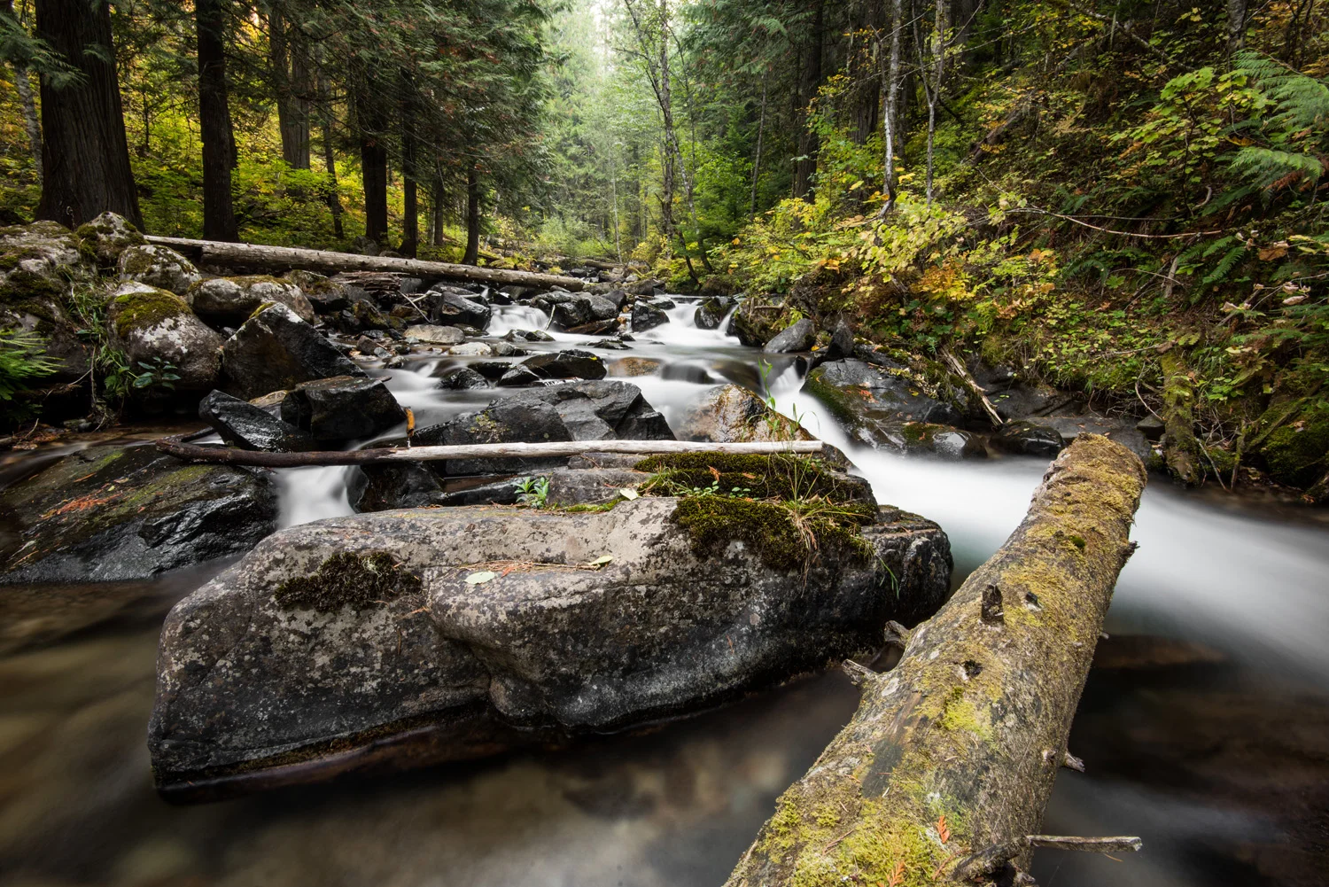 Log Jam