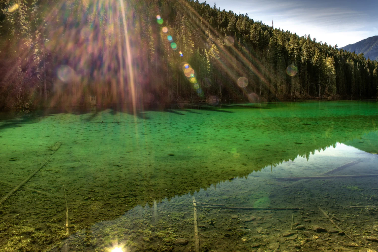 Olive Lake