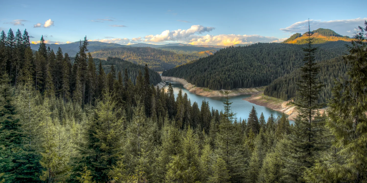 Dworshak Overlook