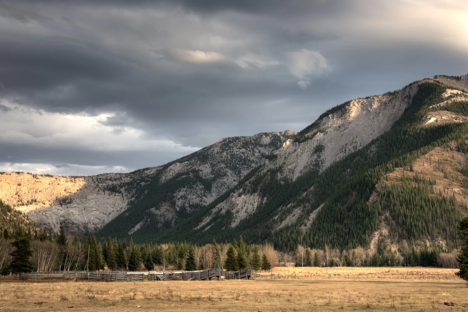 Alberta Mountain Corral