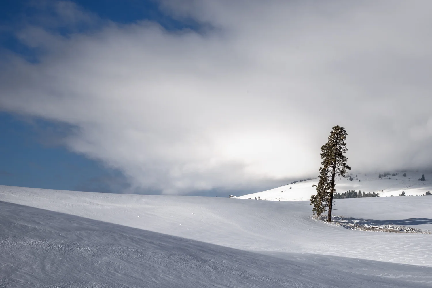 The Calm of Winter