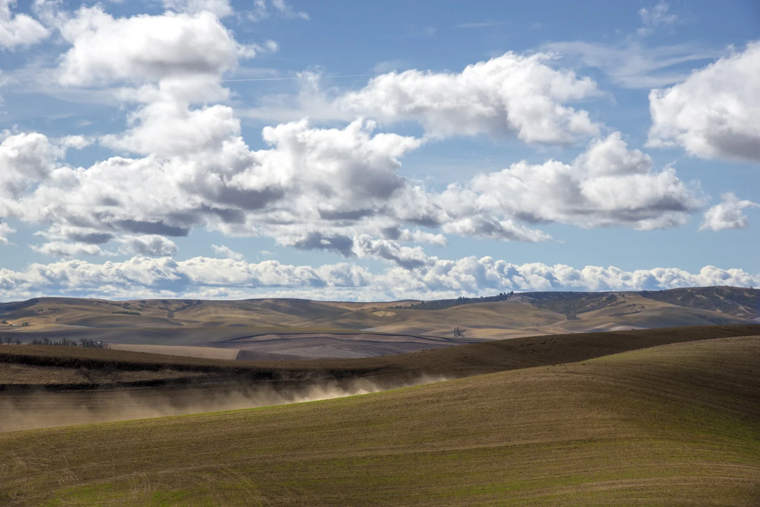 SCT_1503-Edit.jpg