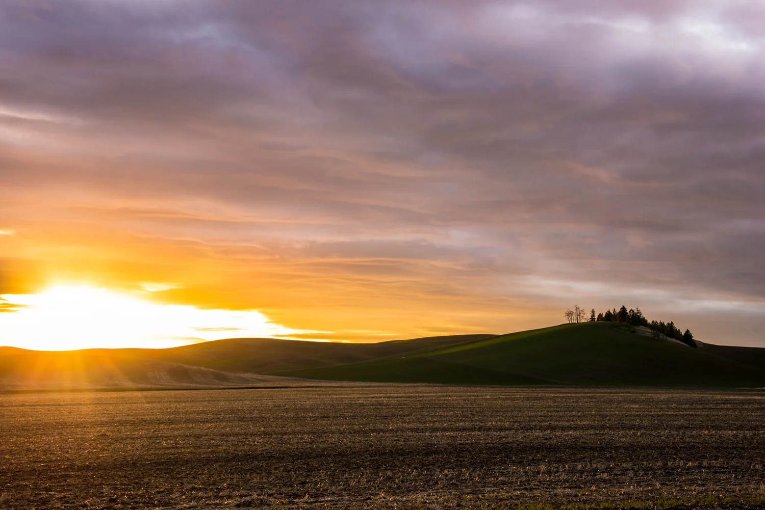 SCT_2470-Edit.jpg