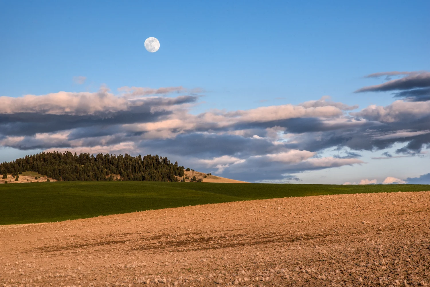 SCT_2724-Edit-2-2.jpg
