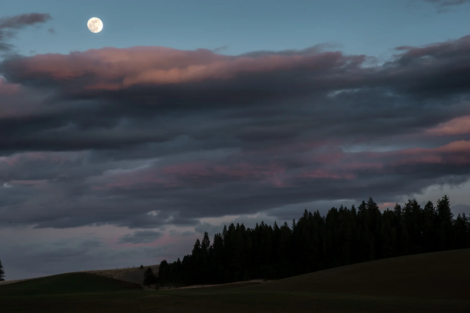 SCT_2740-Edit.jpg