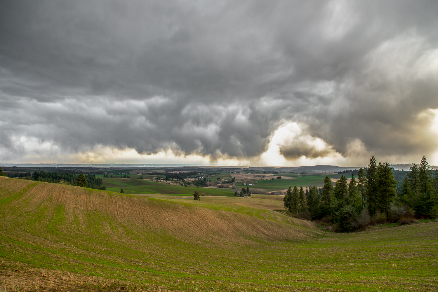 SCT_2770-Edit.jpg