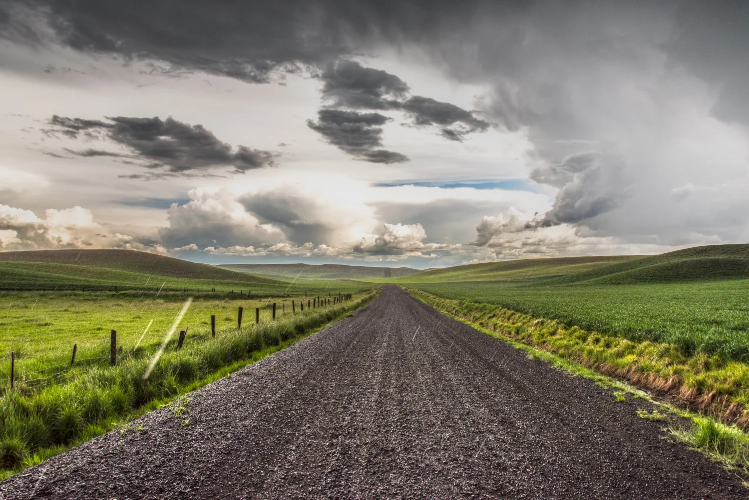 Back Road Summer Rain