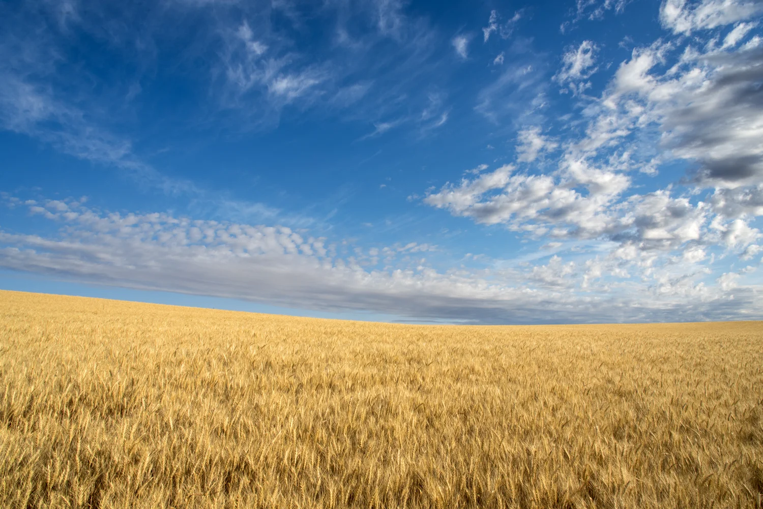 SCT_4986-Edit.jpg