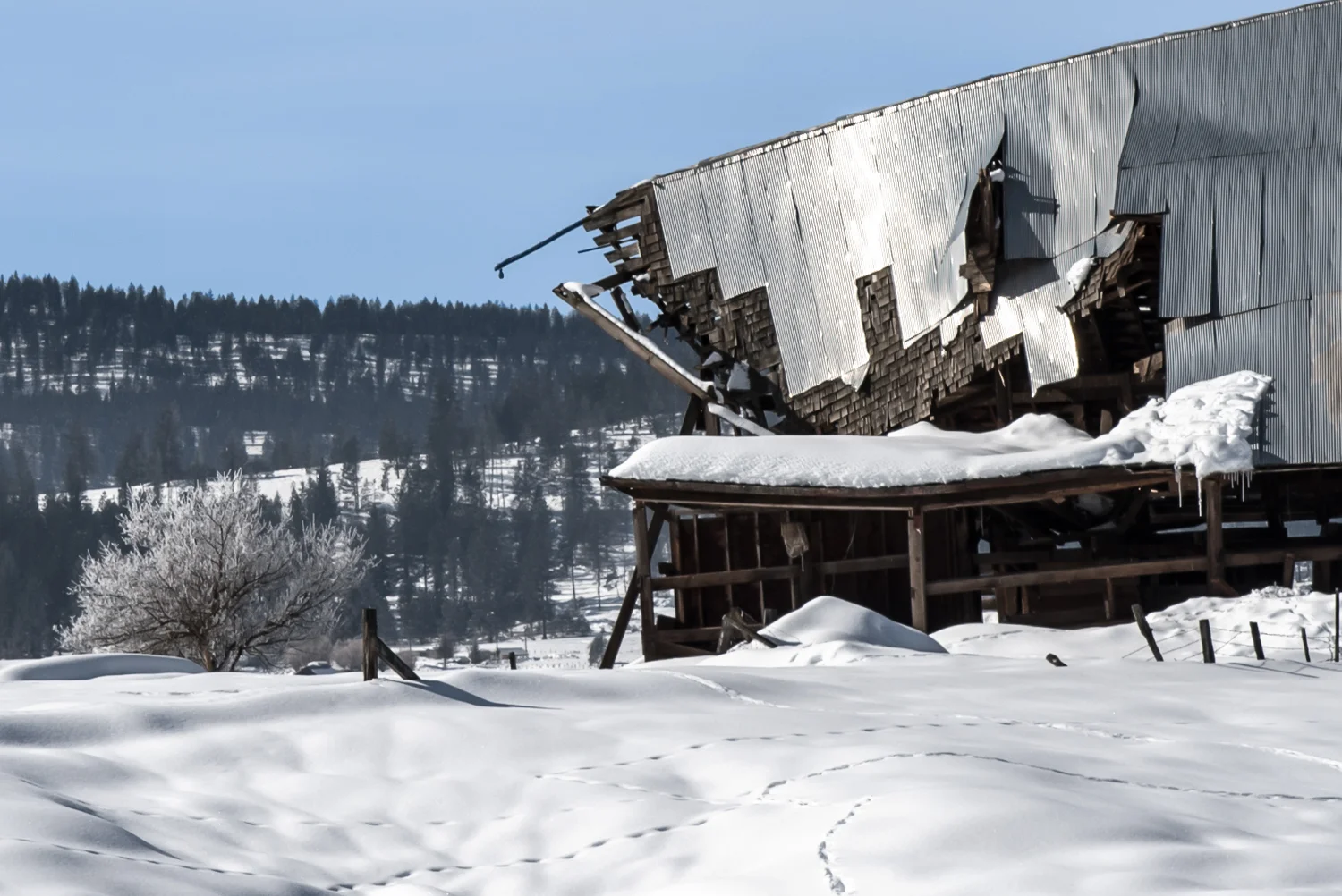 SCT_9266-Edit.jpg