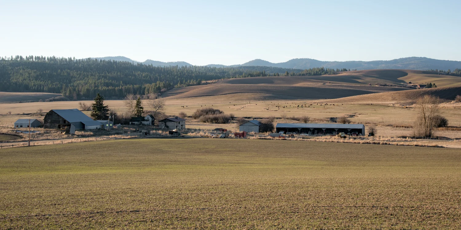 North Idaho Cattle Country