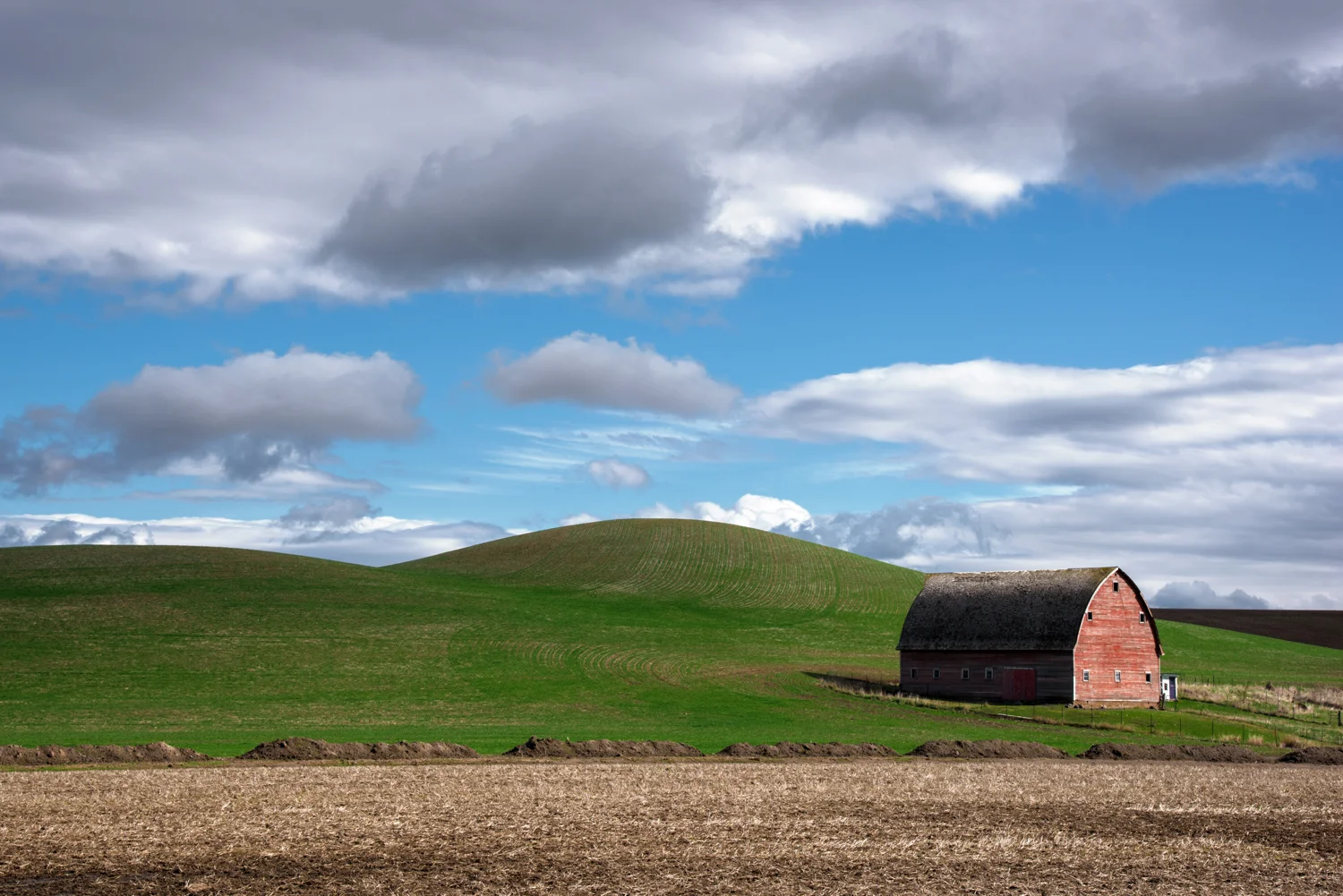 Spring Colors of the Palouse
