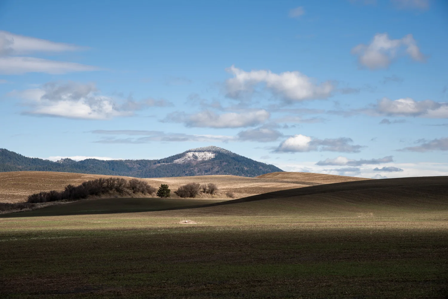 SCT_0510-Edit.jpg