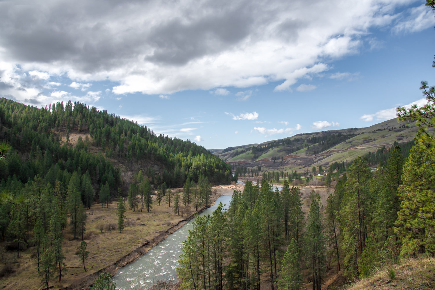SCT_2256-Edit.jpg