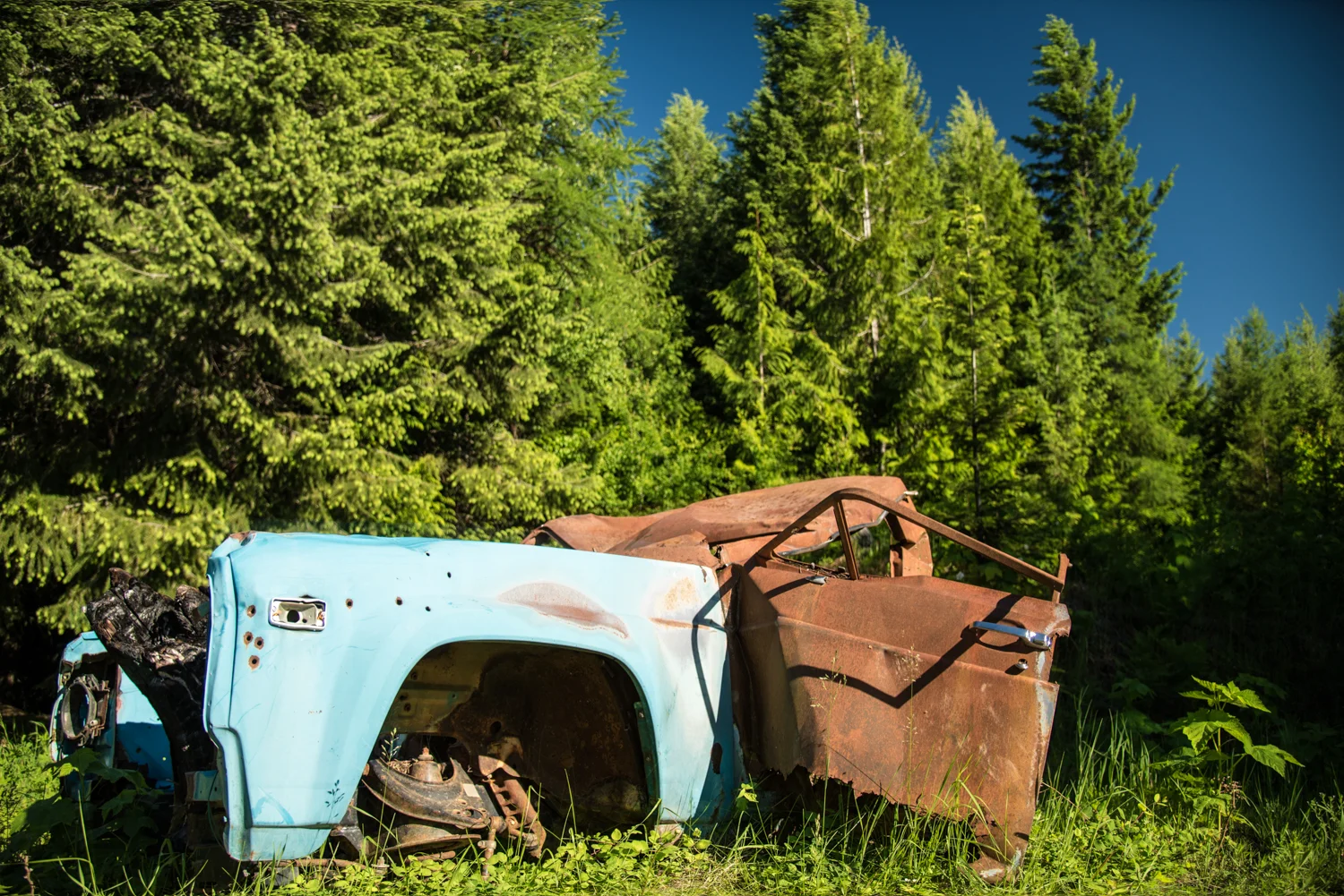 SCT_4421-Edit.jpg