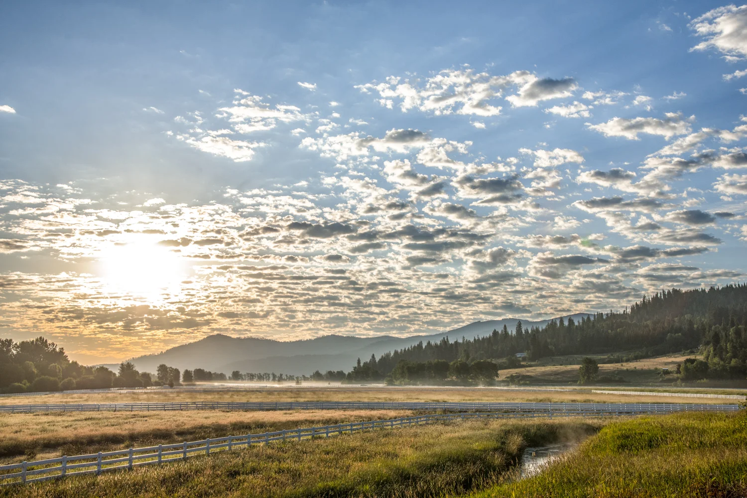 SCT_4548-Edit.jpg