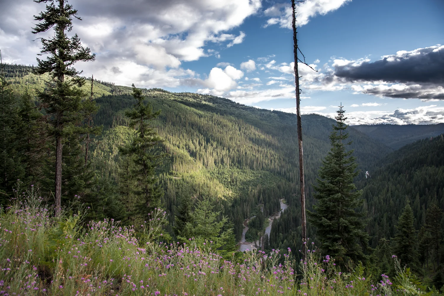 SCT_5389-Edit.jpg