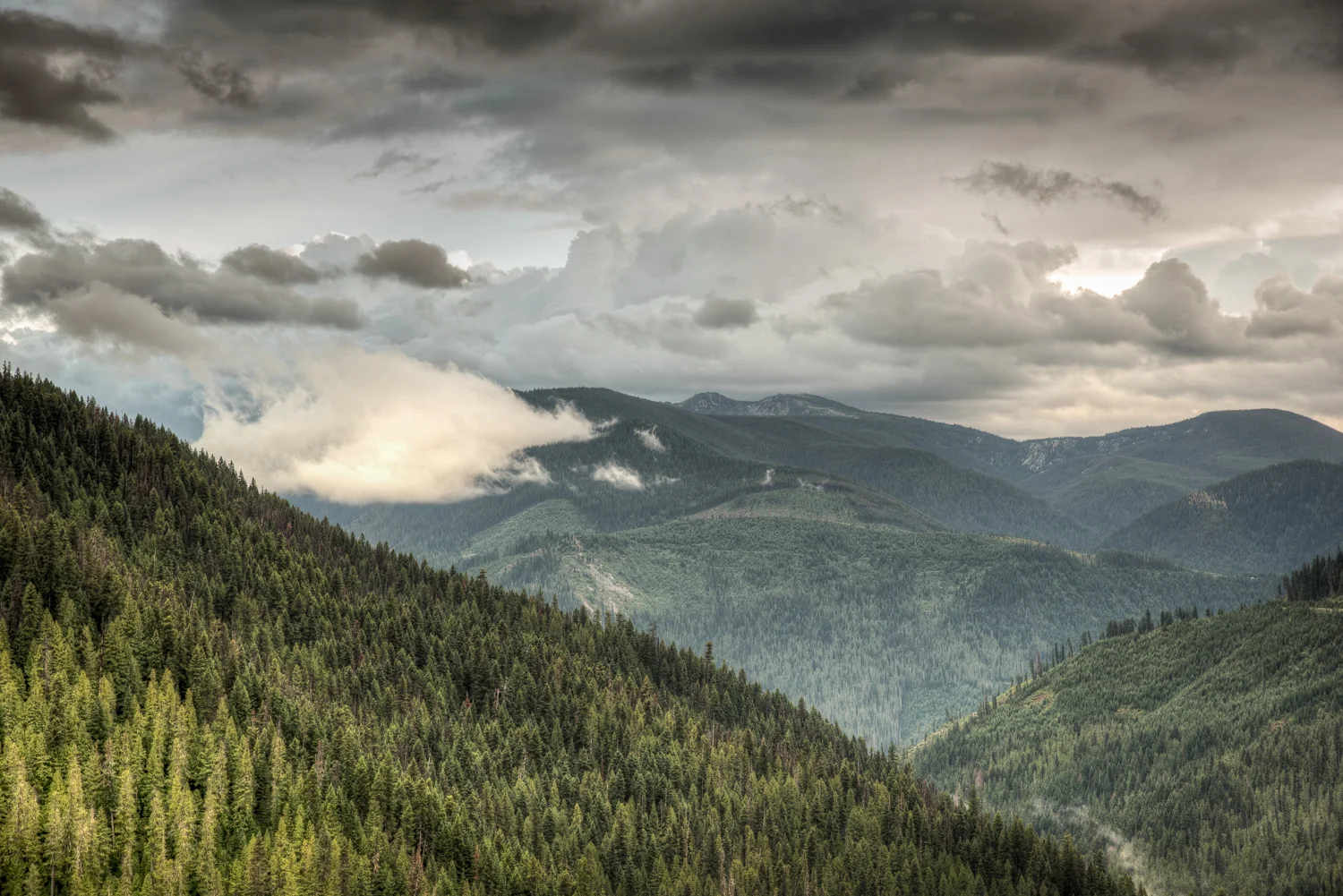 SCT_5457_tonemapped-2.jpg