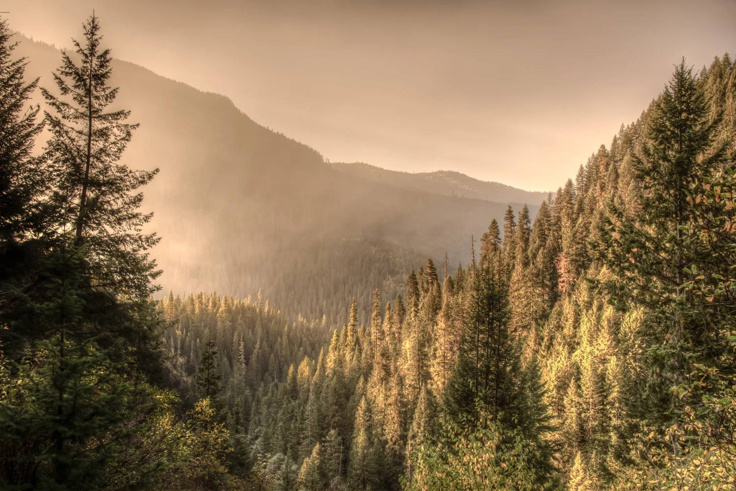 Smoke Filtered Sunrise