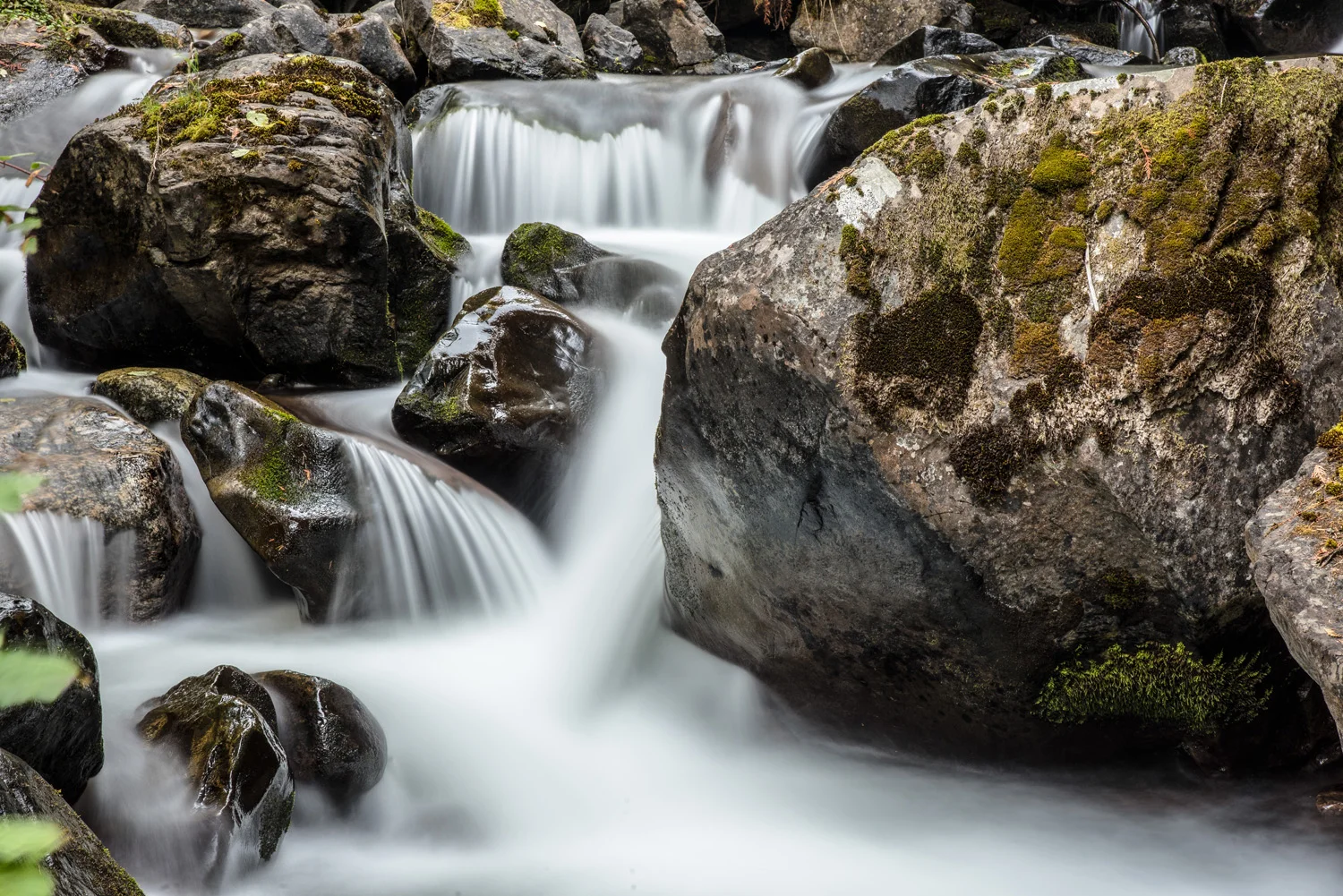 CedarCreek3.jpg