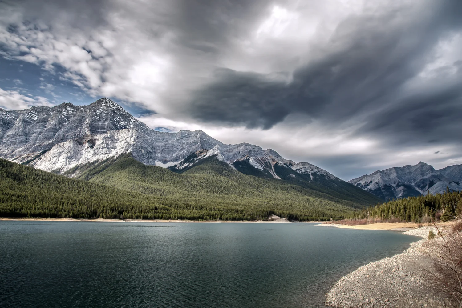 SCT_7985-Edit.jpg