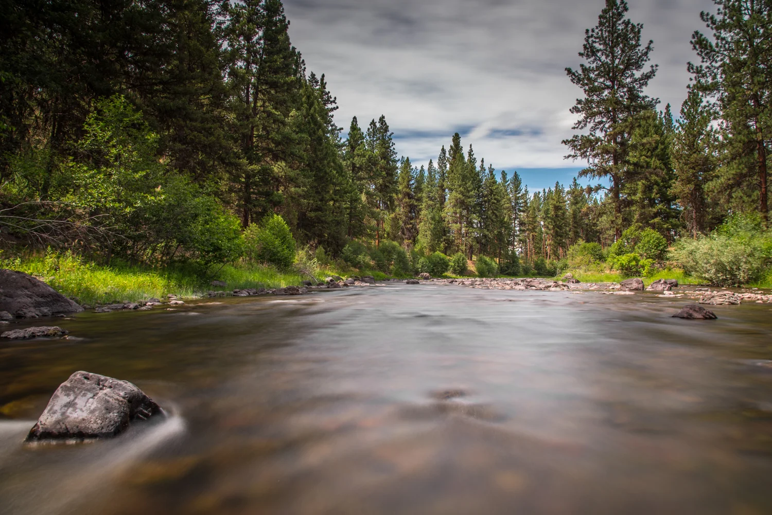 Blackfoot River #2