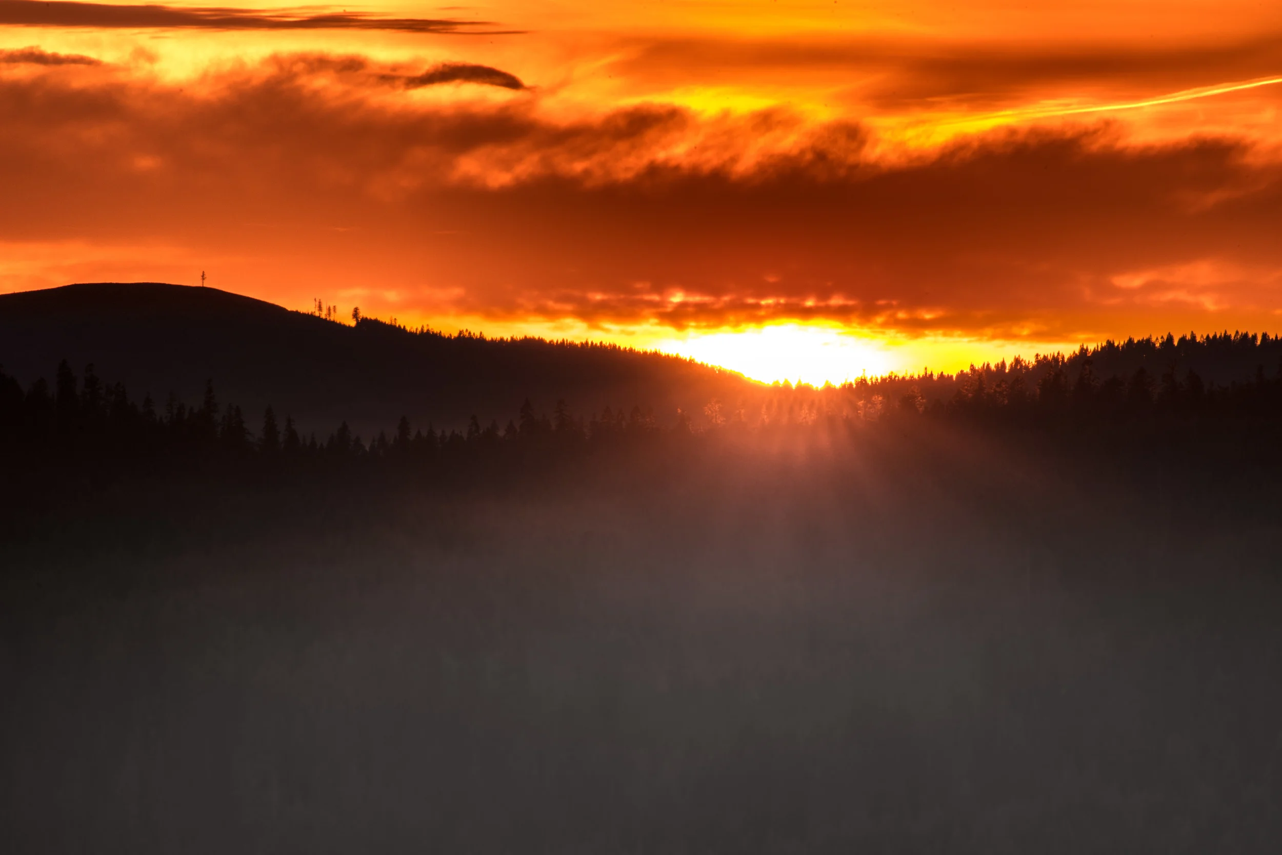 Pine Ridge Sunset