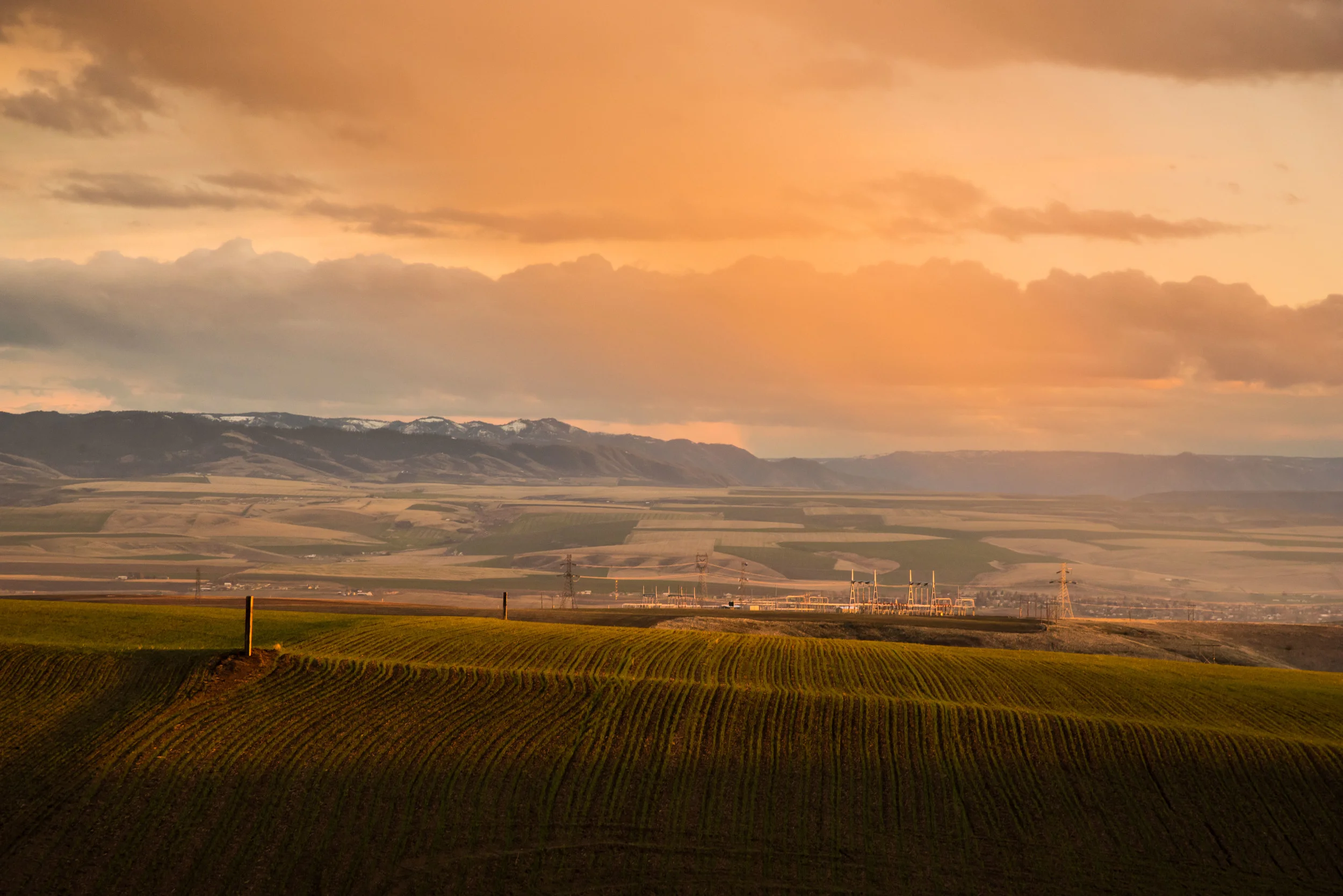 The Valley