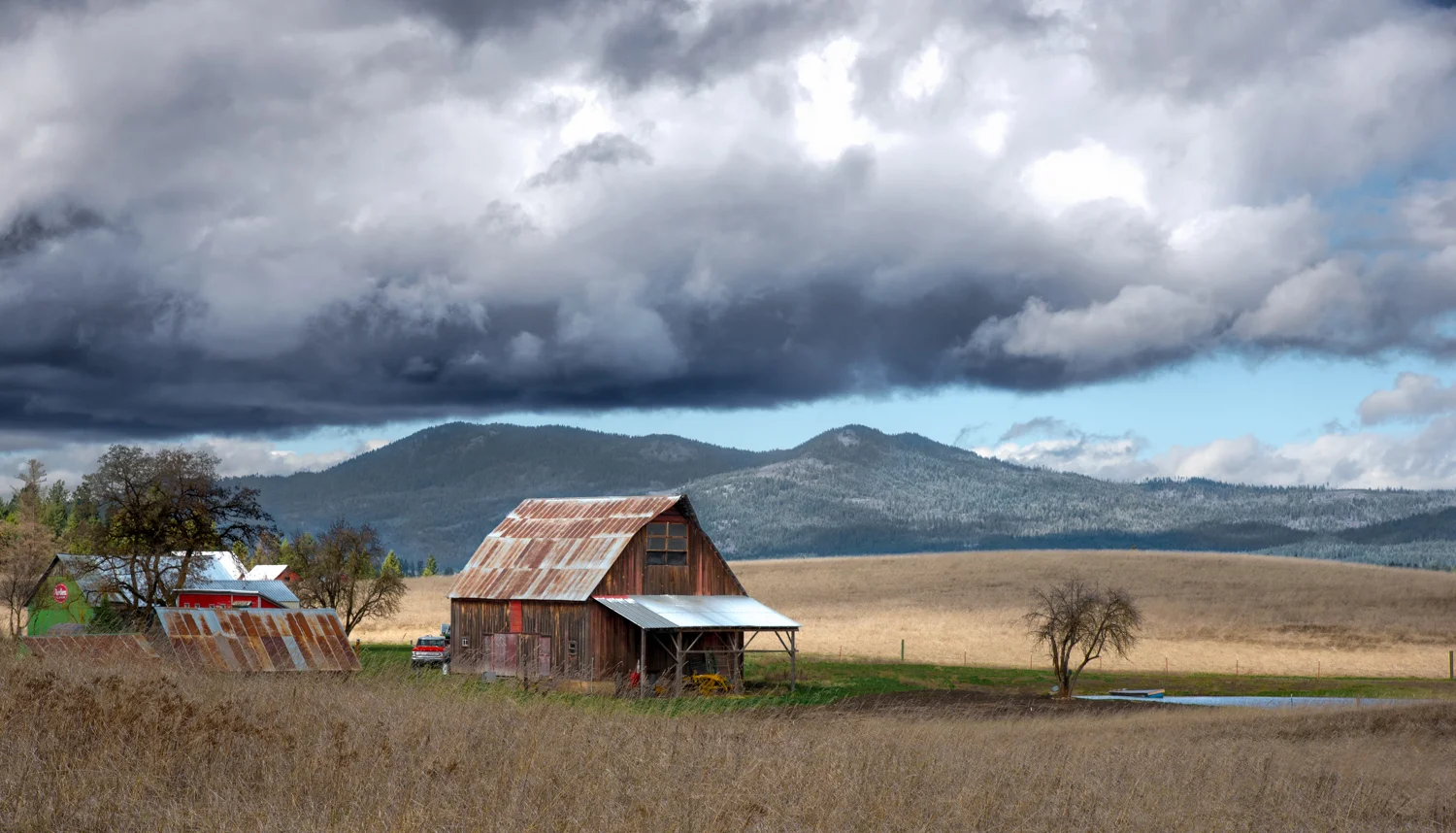 SCT_2231-Edit-2-Edit.jpg