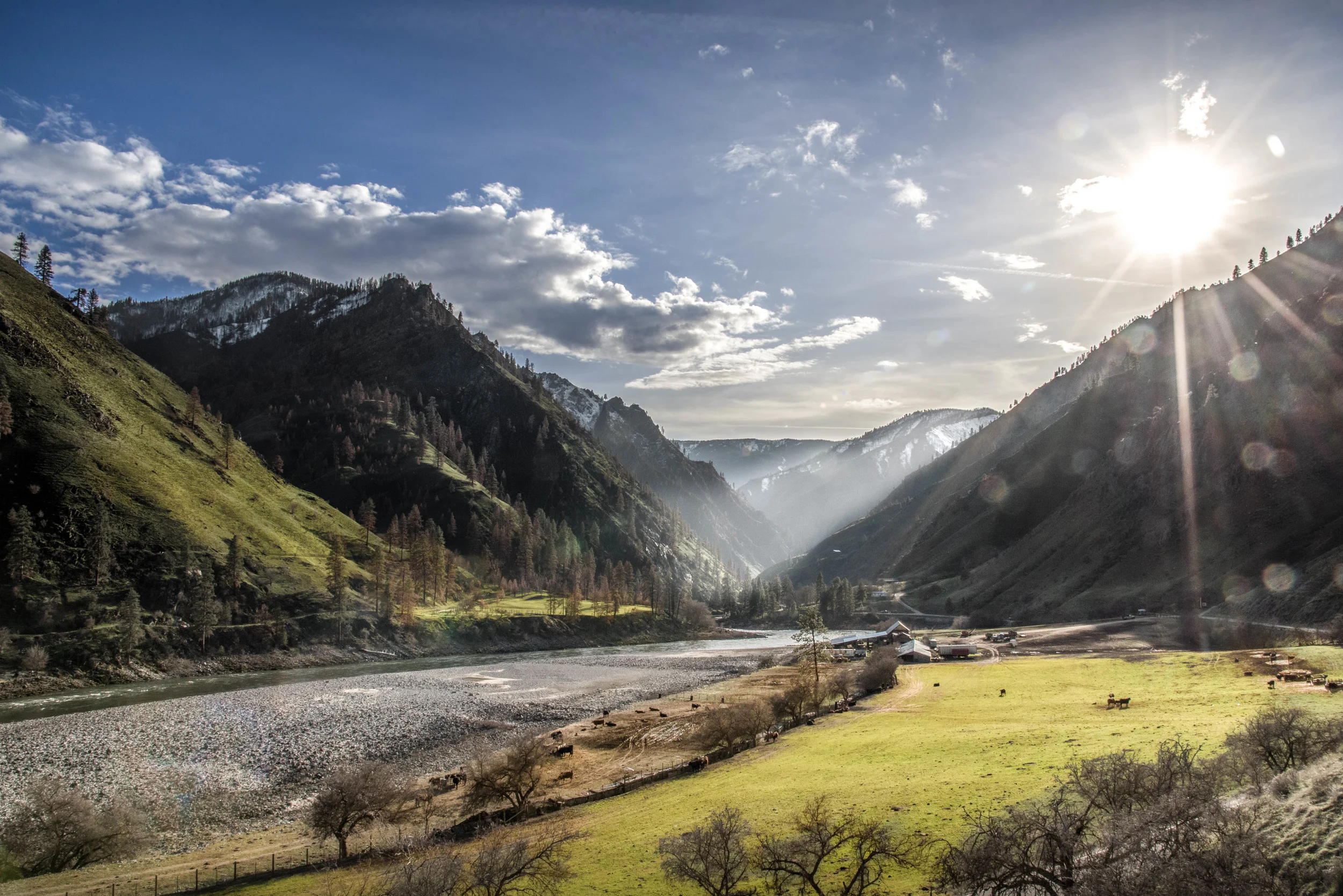 Salmon River Calving Grounds