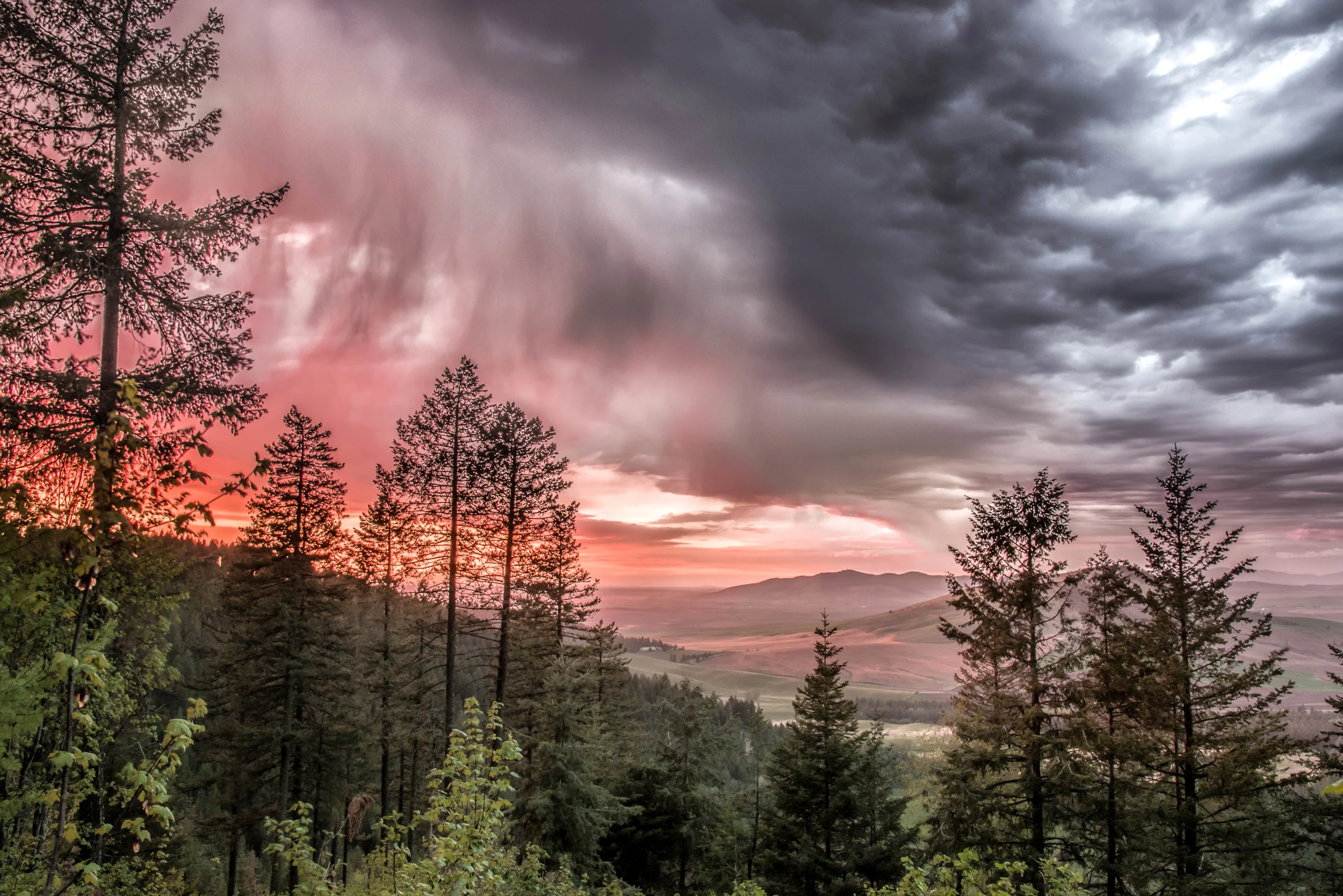 SCT_1982-Edit.jpg