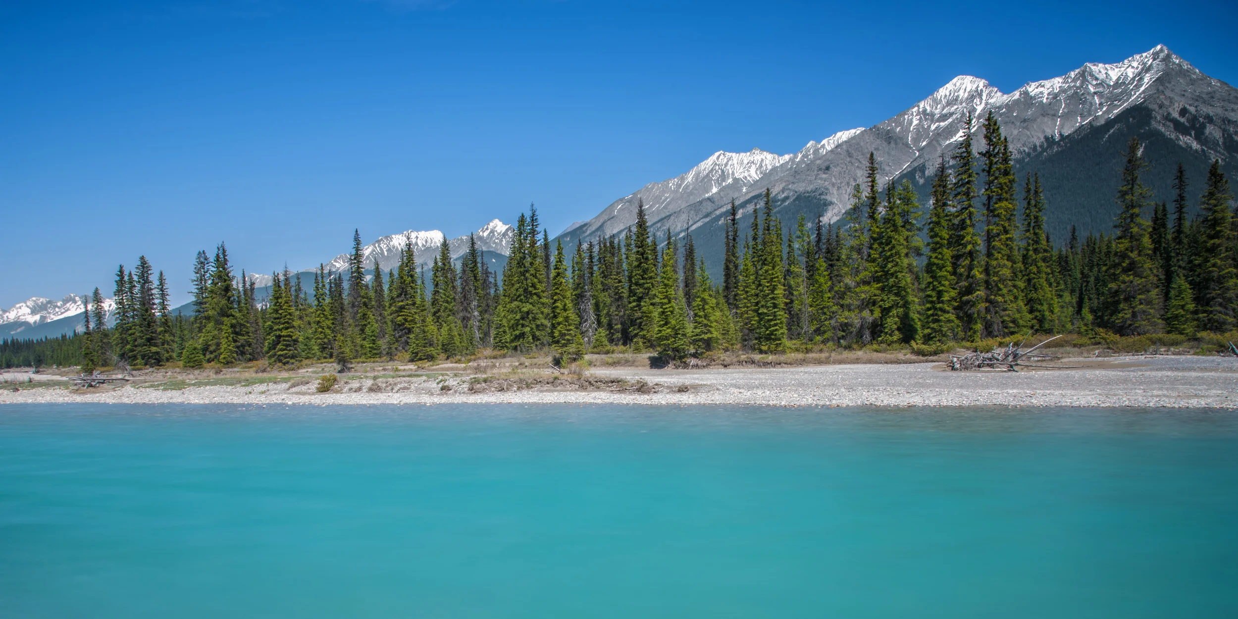 SCT_3155-Edit-2.jpg