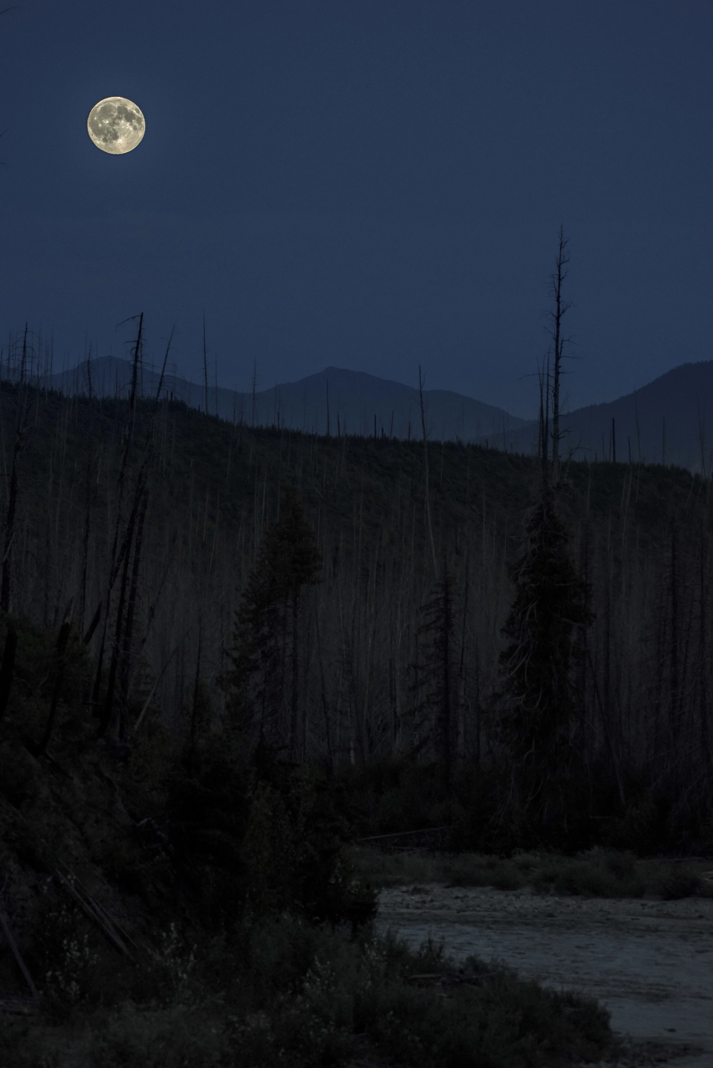 SCT_5183-Edit-2.jpg
