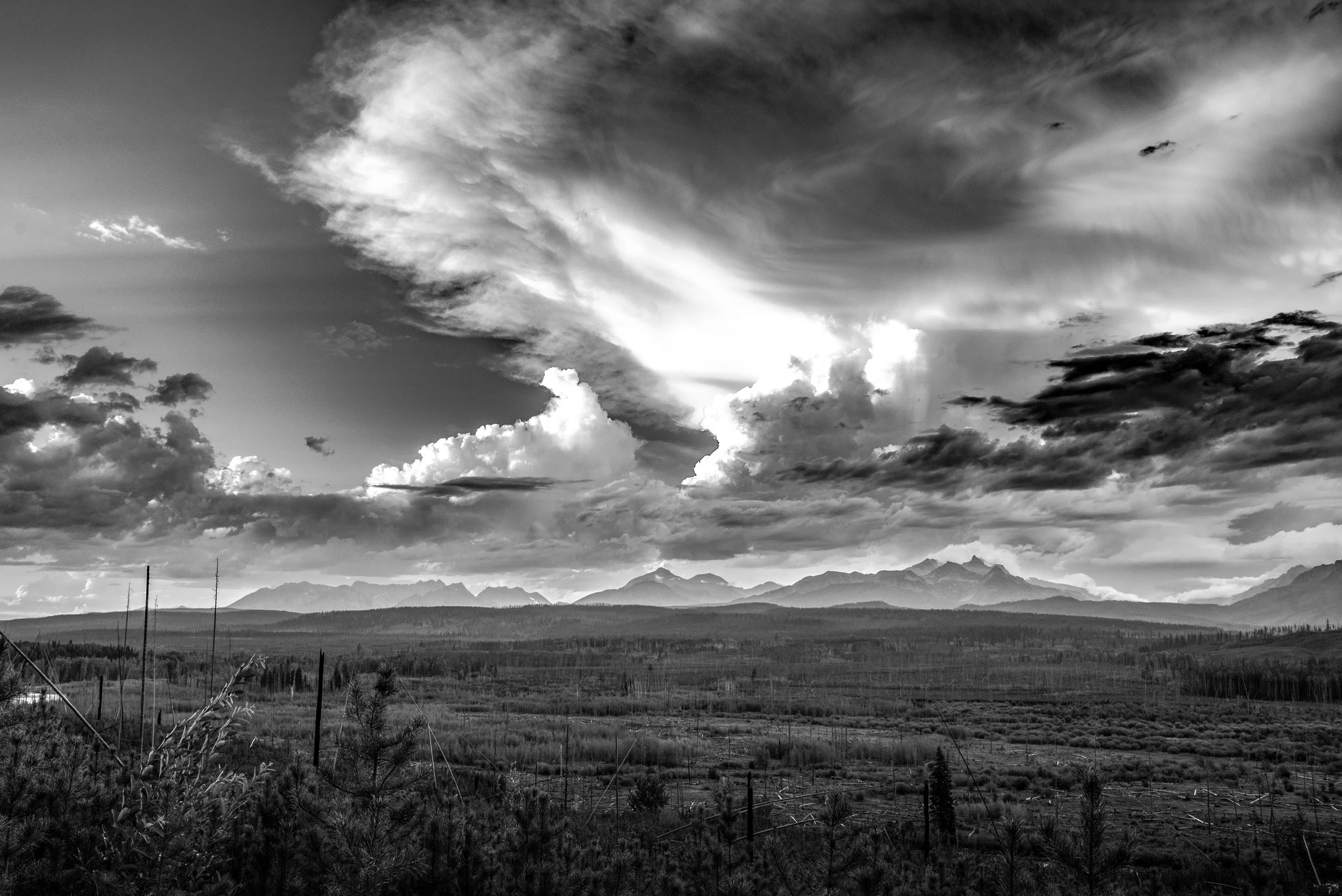 SCT_5150-Edit-Edit.jpg