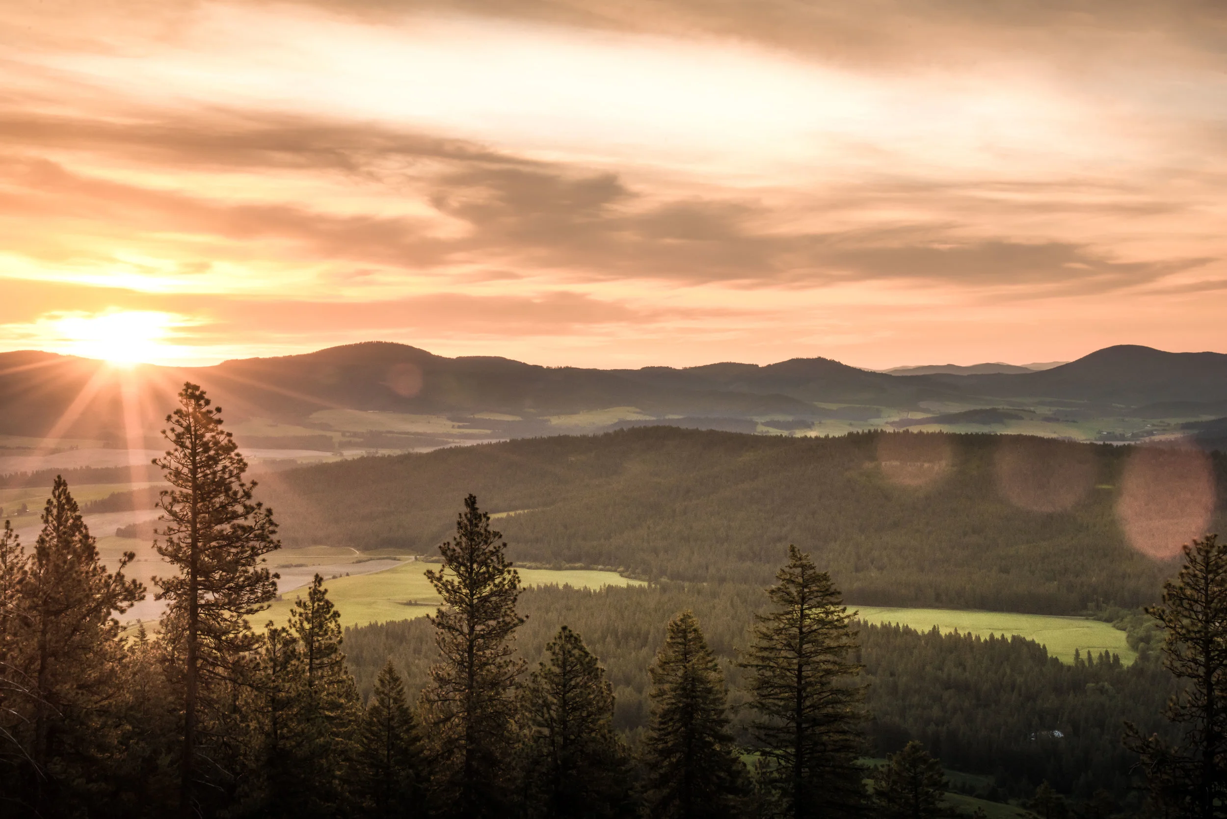 SCT_3092-Edit-Edit.jpg