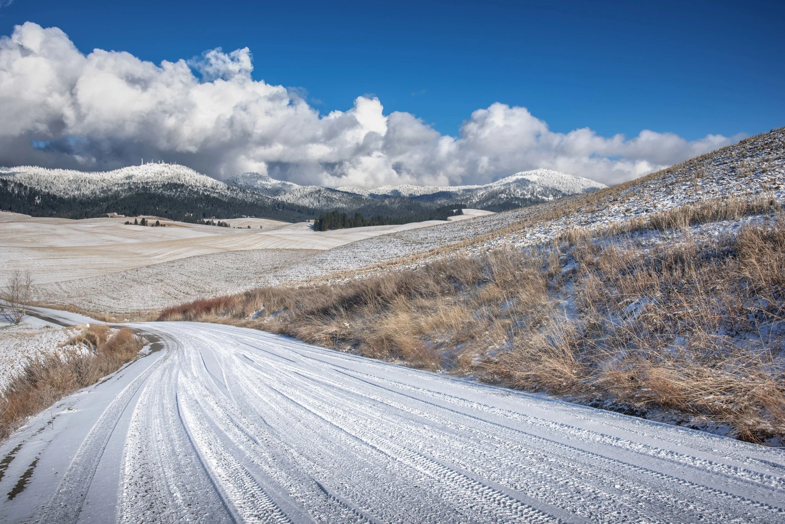 Winding Winter Roads