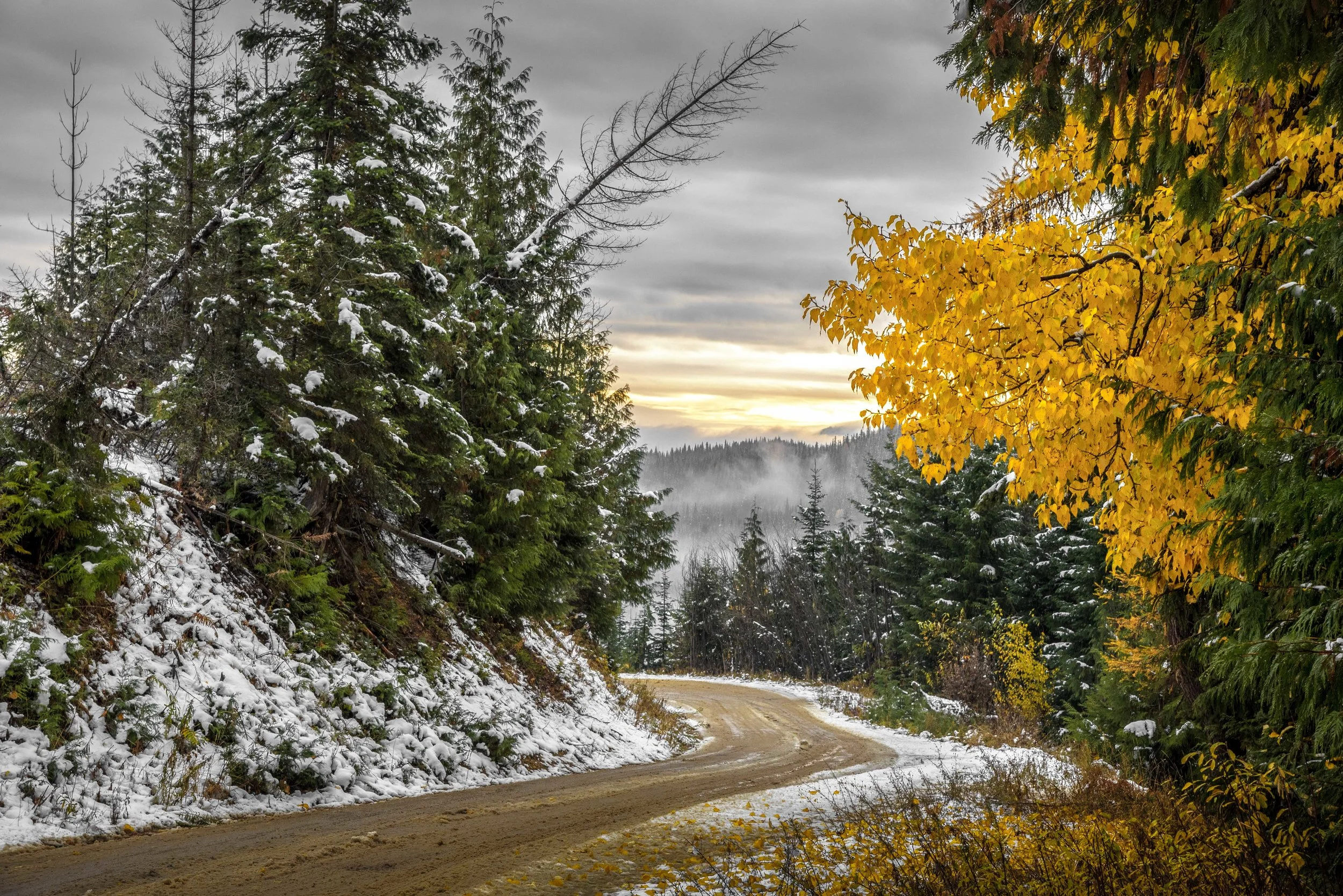 First Snow on the Back Roads