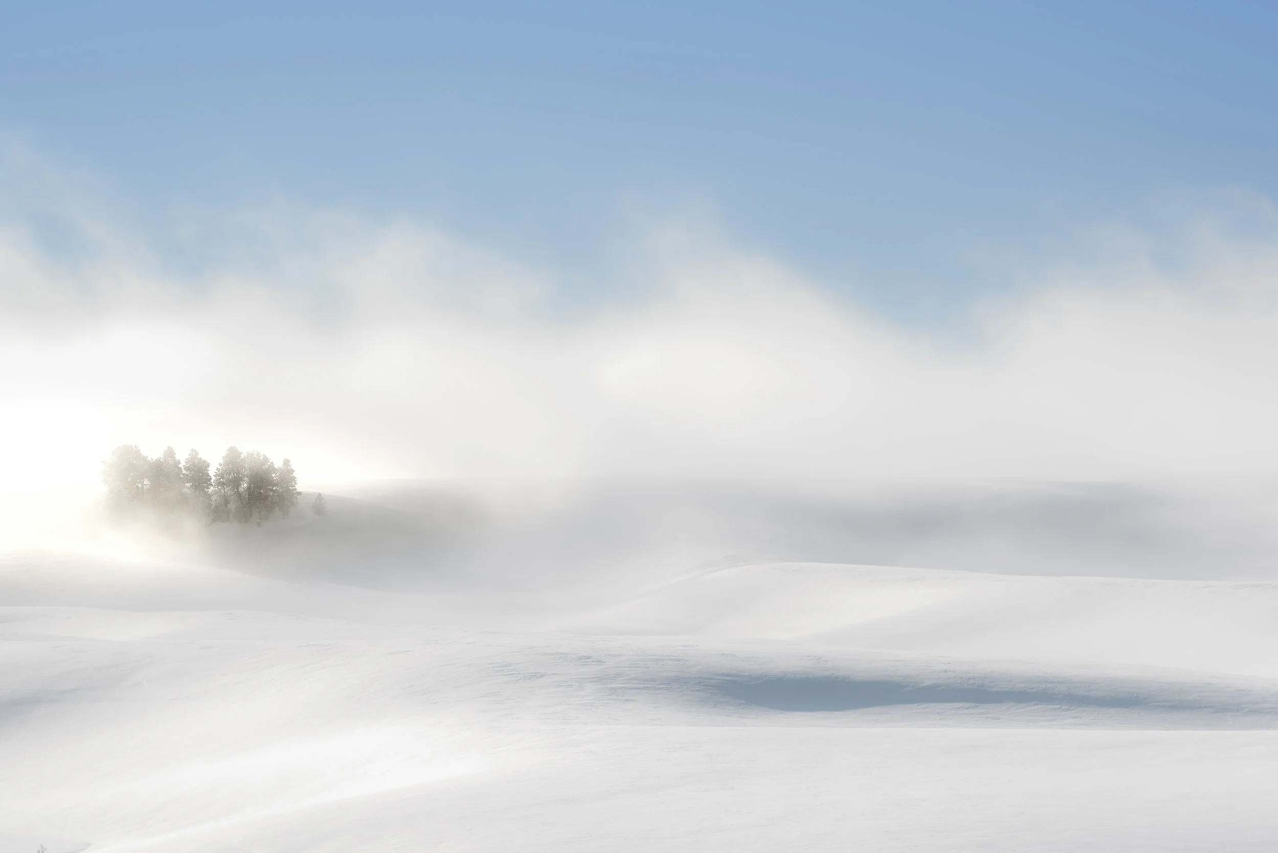 Palouse Winter Mist