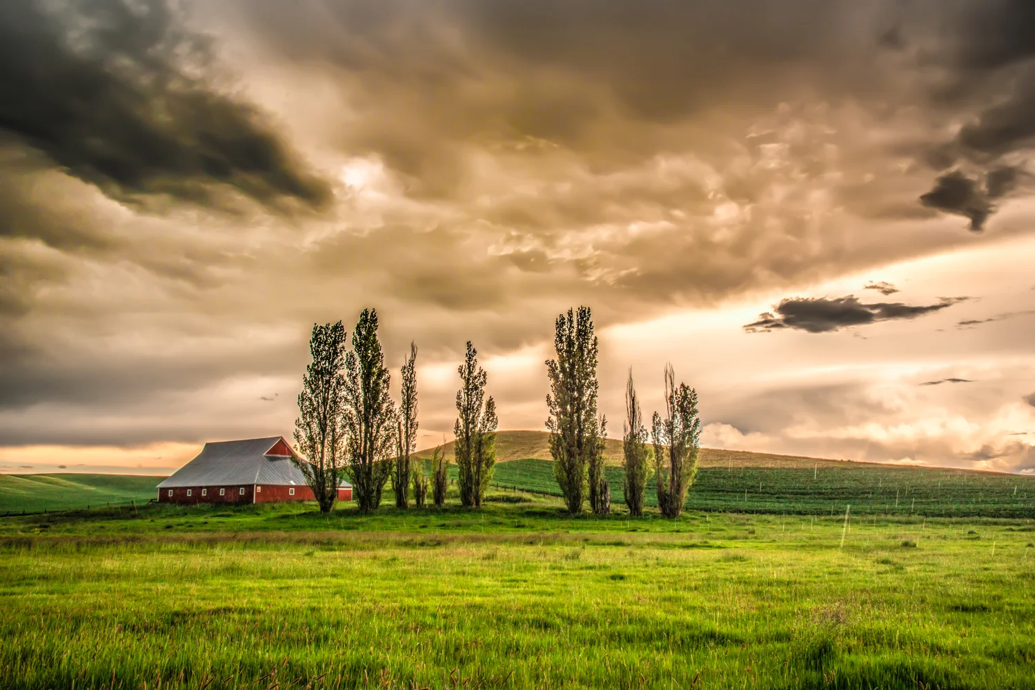 Palouse Summer Storm