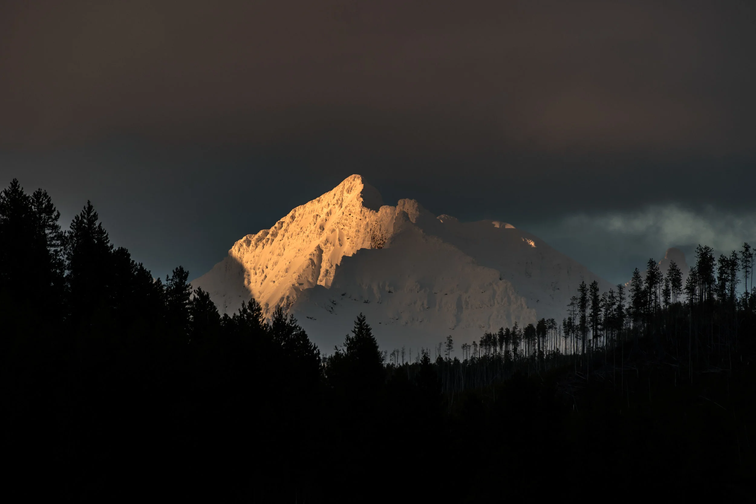 Last Ray of Light