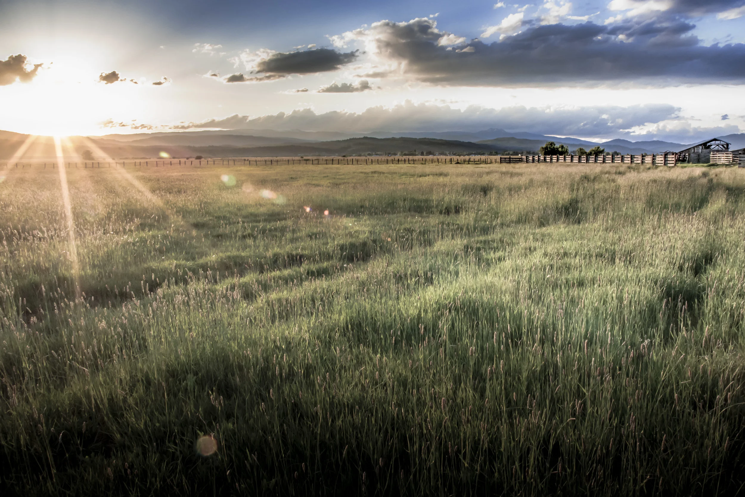 Meadows Summer Sunset