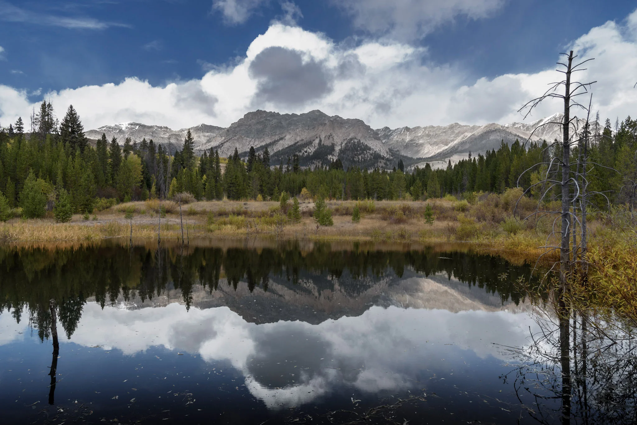 The Beaver Pond