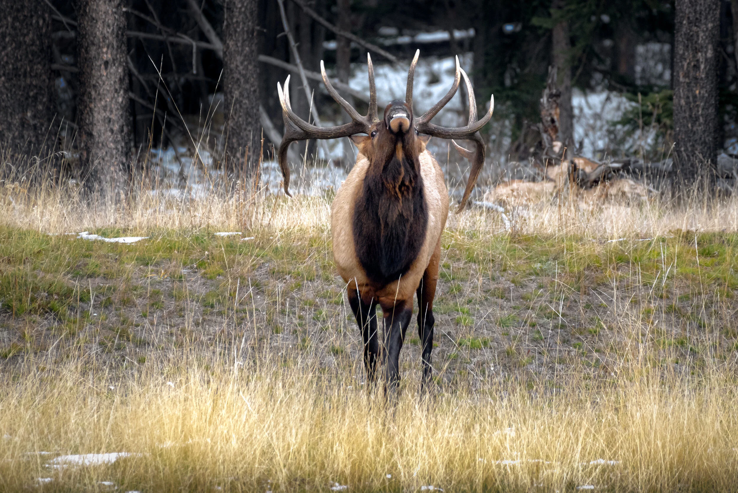 ShotBankPhotos2019-3.jpg