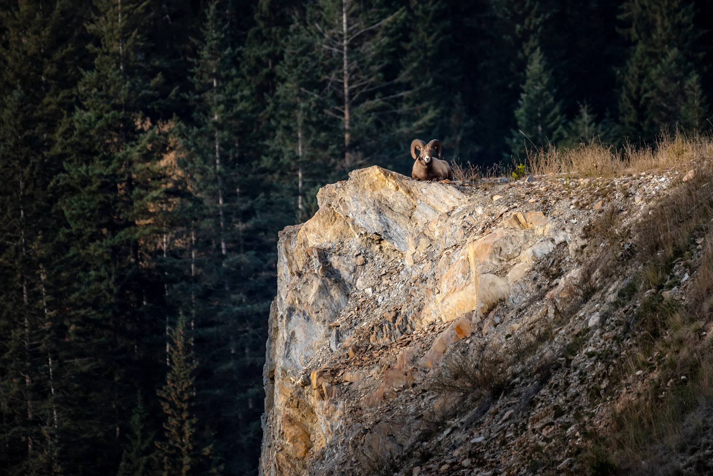 ShotBankPhotos2019-4.jpg