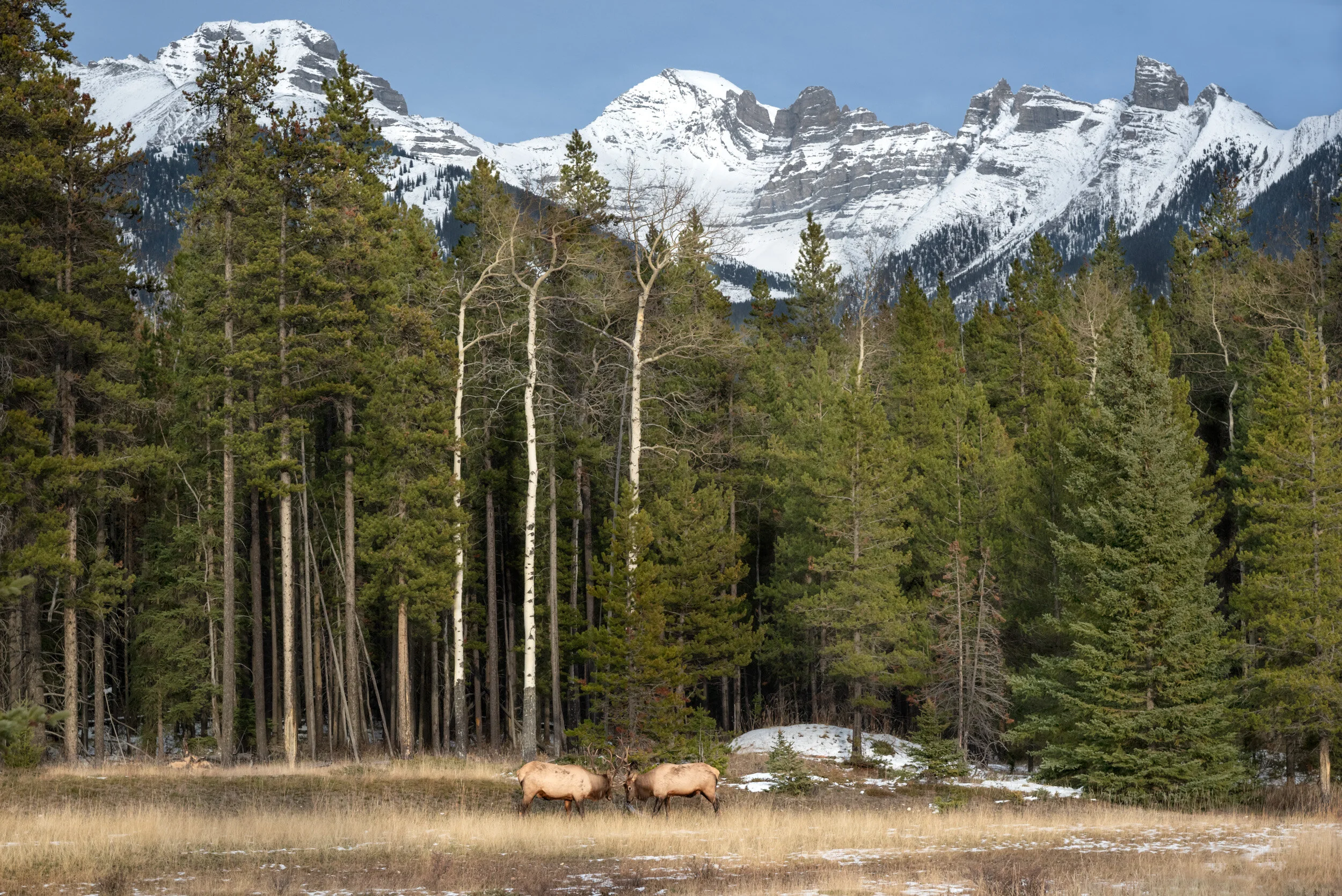 ShotBankPhotos2019-2.jpg