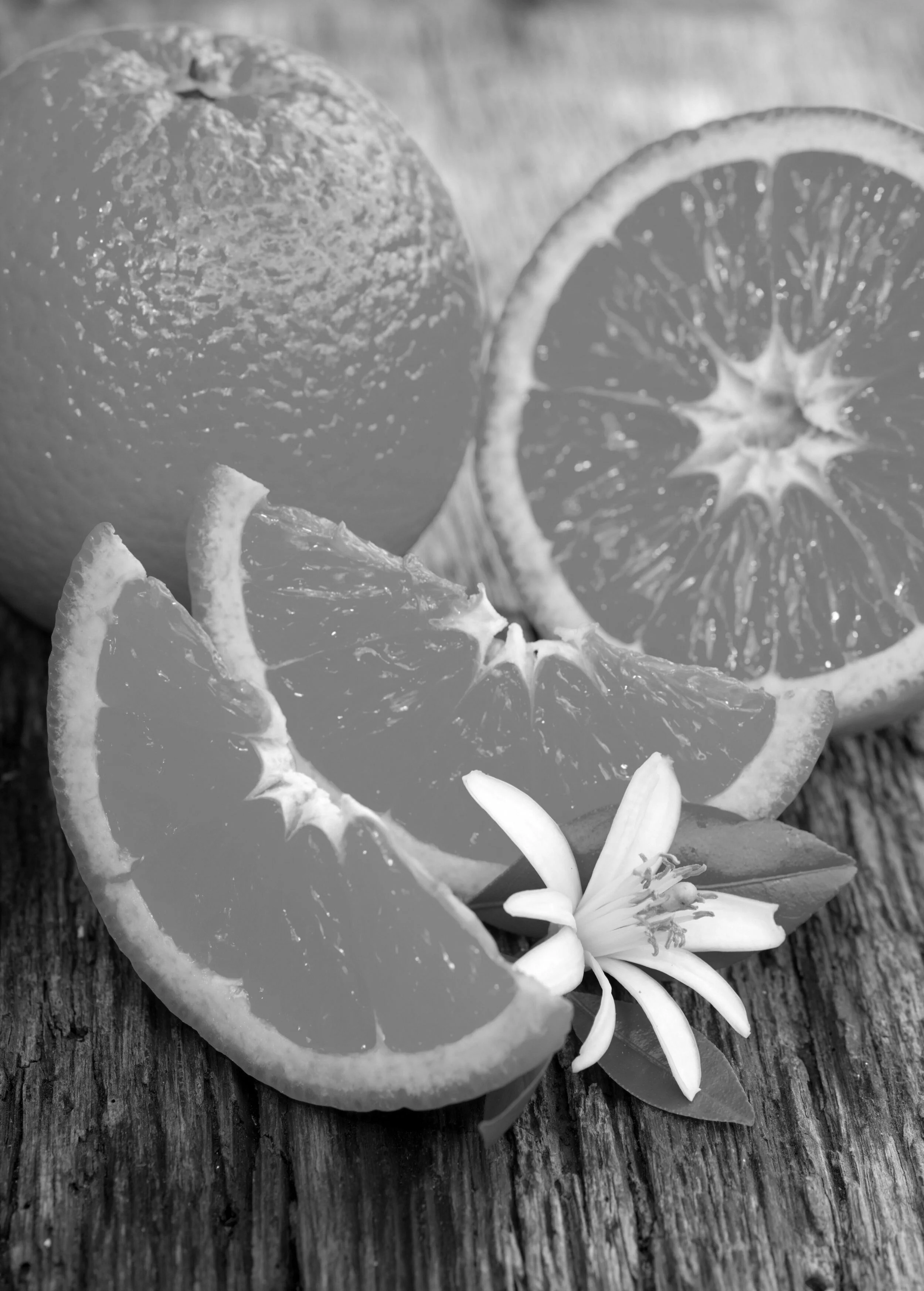 Orange Blossom — Amador Candle Company