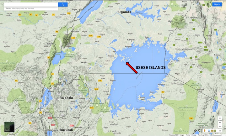 The Ssese Islands, in Lake Victoria, indicated by the red arrow. Google Maps.