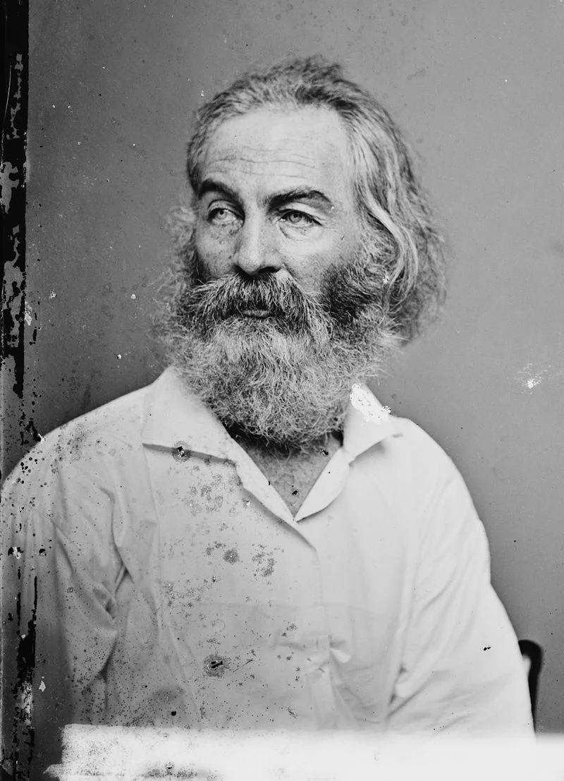 Walt Whitman. Wikimedia commons ( link ).