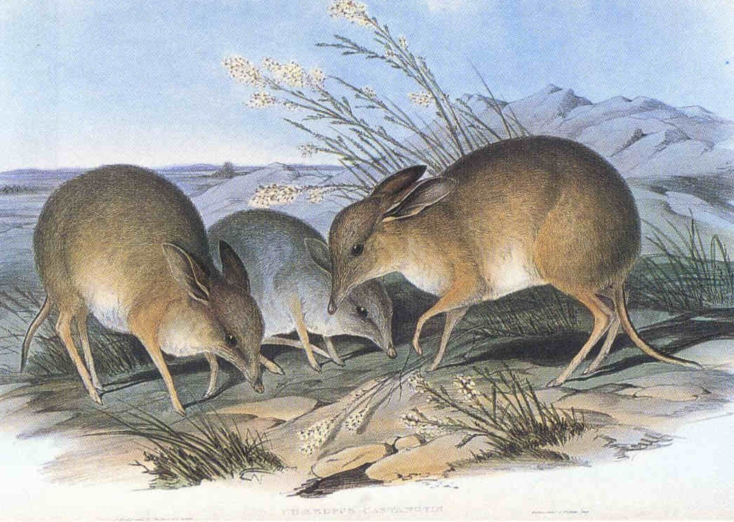 image: Wikimedia commons ( link ).